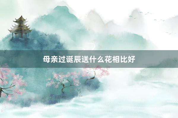 母亲过诞辰送什么花相比好