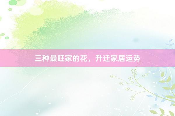 三种最旺家的花，升迁家居运势