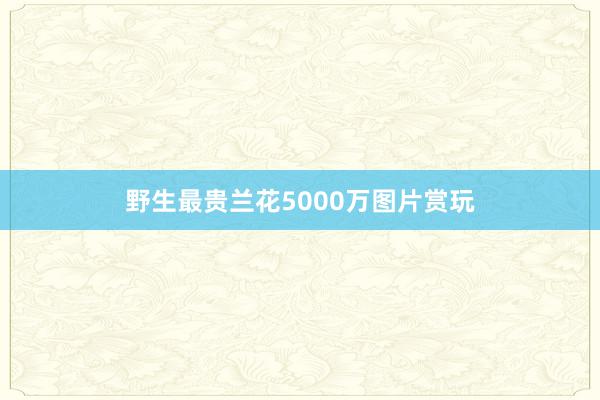 野生最贵兰花5000万图片赏玩