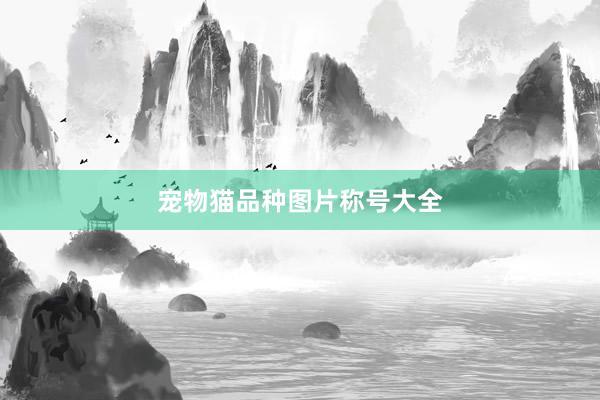 宠物猫品种图片称号大全
