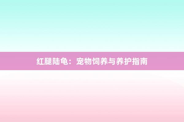 红腿陆龟：宠物饲养与养护指南