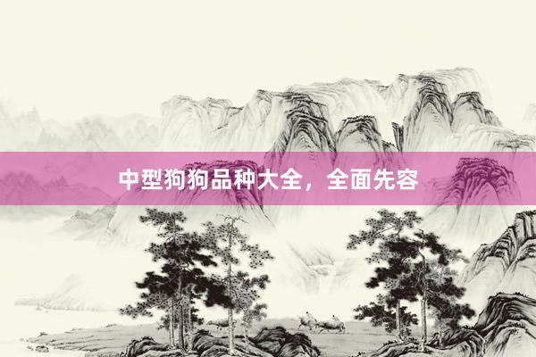中型狗狗品种大全，全面先容